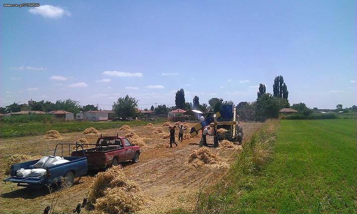 ΗΛΙΟΣΠΟΡΟΣ  ΚΟΛΟΚΥΘΟΣΠΟΡΟΣ [ΟΛΑ ΤΑ ΜΕΓΕΘH] ΤΡΙΦΥΛΛΟΣΠΟΡΟΣ ΟΣΠΡΙΑ-thumb-7