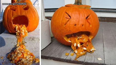 ΗΛΙΟΣΠΟΡΟΣ  ΚΟΛΟΚΥΘΟΣΠΟΡΟΣ [ΟΛΑ ΤΑ ΜΕΓΕΘH] ΤΡΙΦΥΛΛΟΣΠΟΡΟΣ ΟΣΠΡΙΑ-thumb-21