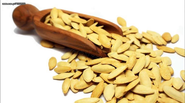 ΗΛΙΟΣΠΟΡΟΣ  ΚΟΛΟΚΥΘΟΣΠΟΡΟΣ [ΟΛΑ ΤΑ ΜΕΓΕΘH] ΤΡΙΦΥΛΛΟΣΠΟΡΟΣ ΟΣΠΡΙΑ-thumb-5