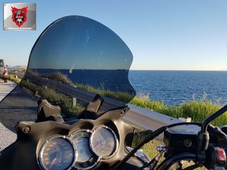 Ζελατίνα (Ανεμοθώρακας / Παρμπίζ) MPF-GRIVAS για Suzuki DL 650 & 1000 V-Strom 2004-2013 DB SIZE(αγωνιστικού τύπου) σε 50% φιμέ-thumb-10