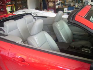 Ford Mustang 2008-thumb-1