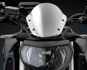 ΠΡΟΣΤΑΤΕΥΤΙΚΟ ΜΑΝΕΤΑΣ RIZOMA PROGUARD SYSTEM STREET YAMAHA MT-09 2014 - 2024-thumb-10
