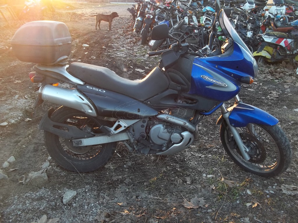  SUZUKI FREEWIND 650 XF