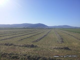 Χορτοσυλέκτες 2021 680-22-thumb-5