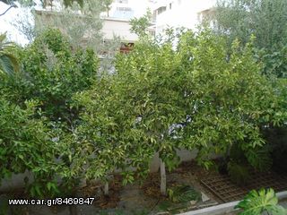 ΠΩΛΕΙΤΑΙ ΓΩΝΙΑΚΗ ΜΟΝΟΚΑΤΟΙΚΙΑ ΣΤΟ ΠΑΛΑΙΟ ΦΑΛΗΡΟ-thumb-12