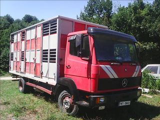 Σασί Mercedes-Benz 1990 608D-thumb-2