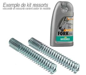 Ελλατήρια Πηρουνιού BITUBO Progressive Tension Fork Spring Kit with MOTOREX Fork Oil RSV1000R 98-03, FACTORY TUONO 1000 R, FACTORY
