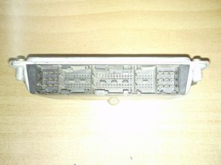 Corolla   εγκεφαλος -thumb-4