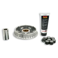 Βαριατόρ (Multivar) MALOSSI GP800 4T LC (PIAGGIO M554M) 385116230