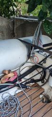 Φουσκωτό - Rib 2010 VALIANT-DR-3.80-thumb-2