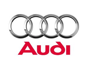 Ahellas  ΚΟΤΣΑΔΟΡΟΙ AUDI 110 EURO '17