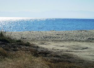 ΠΑΡΑΘΑΛΑΣΣΙΟ 10 ΒΗΜΑΤΑ ΑΠΟ ΘΑΛΑΣΣΑ ΟΡΙΣΤΙΚΟ ΣΥΜΒΟΛΑΙΟ