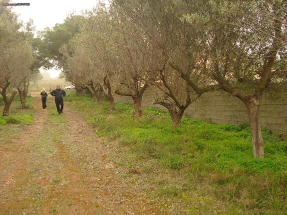 ΠΩΛΕΙΤΑΙ ΕΝΑ ΣΤΡΕΜΜΑ ΣΤΗΝ ΑΓΙΑ ΜΑΡΙΝΑ ΚΟΡΩΠΊΟΥ    ΕΝΤΟΣ ΣΧΕΔΙΟΥ