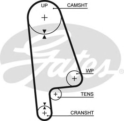 Οδοντωτός ιμάντας HONDA / ROVER Αρ. δοντιών 107 24mm GATES 5233XS