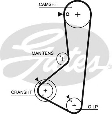 Οδοντωτός ιμάντας HYUNDAI / MITSUBISH Αρ. δοντιών 123 19mm GATES 5254XS